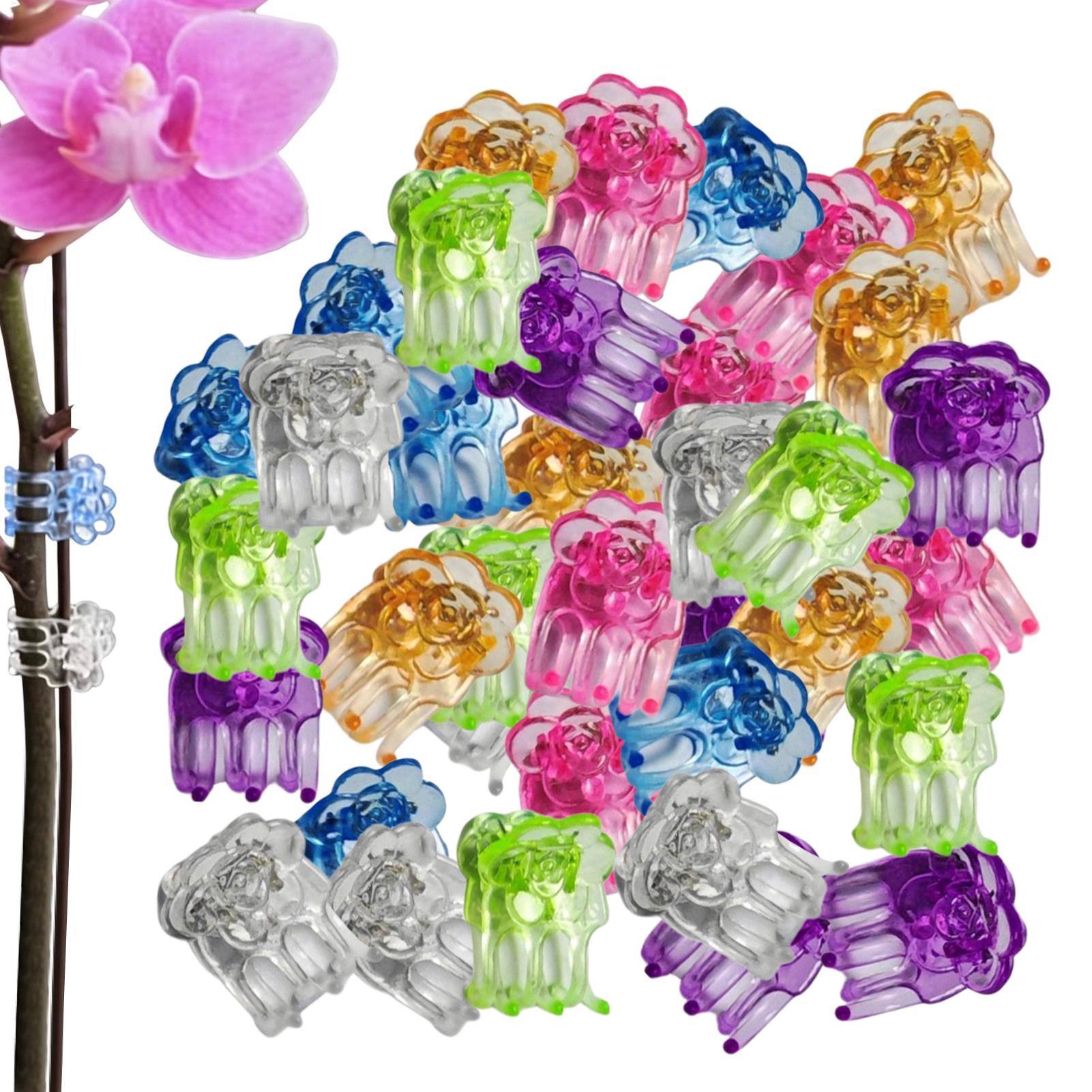 Terracotta Pot - Clips para Orquídeas, 60 Piezas, Abrazaderas