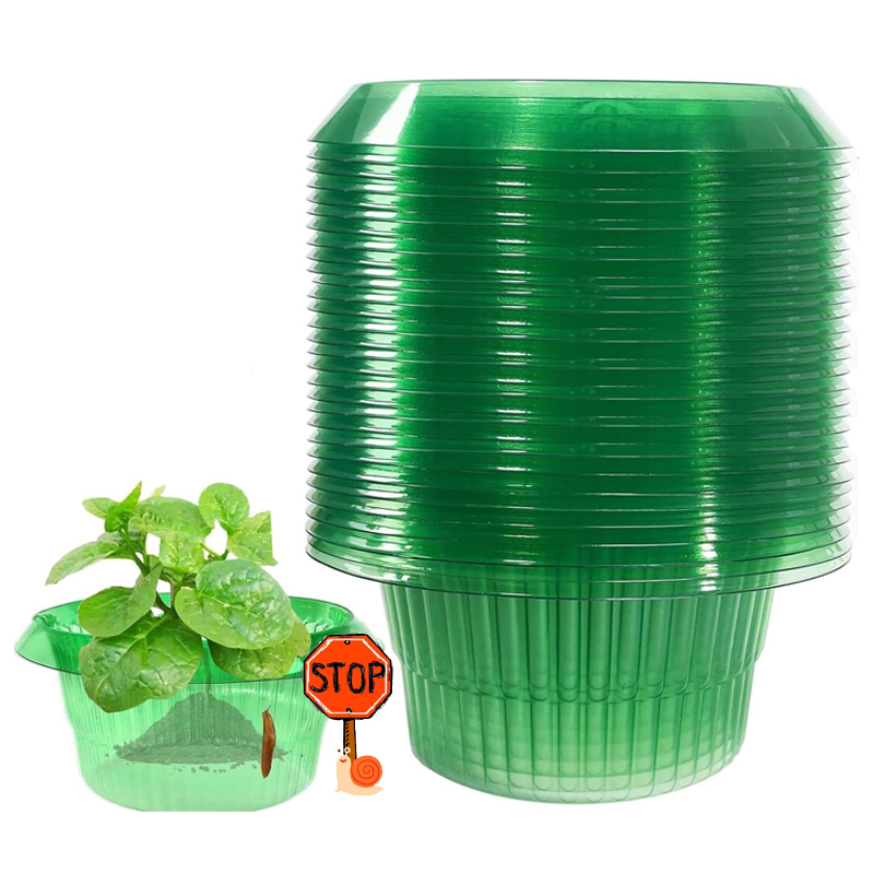 Terracotta Pot - Anillos de protección de lodo para