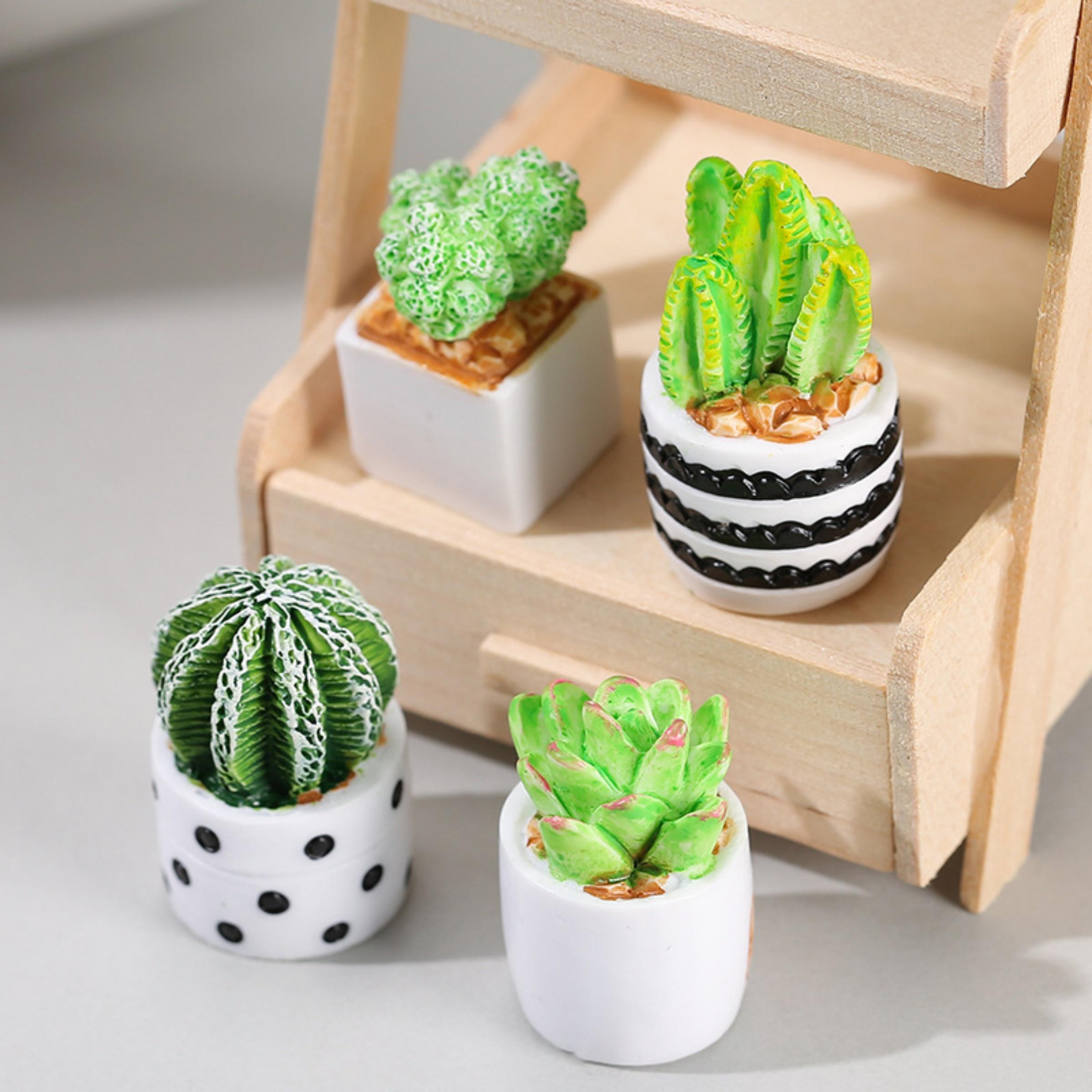 Succulent Set - Juego de 4 Macetas con Plantas