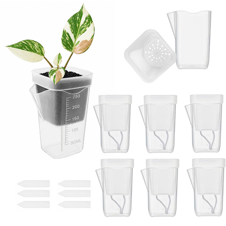 Succulent Set - Juego de herramientas de jardinería para