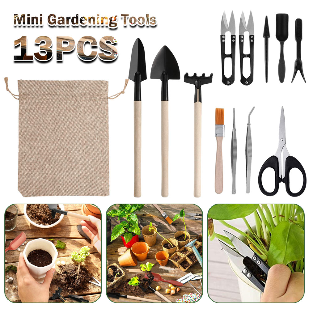 Succulent Set - Herramientas de plantas suculentas, Mini herramientas