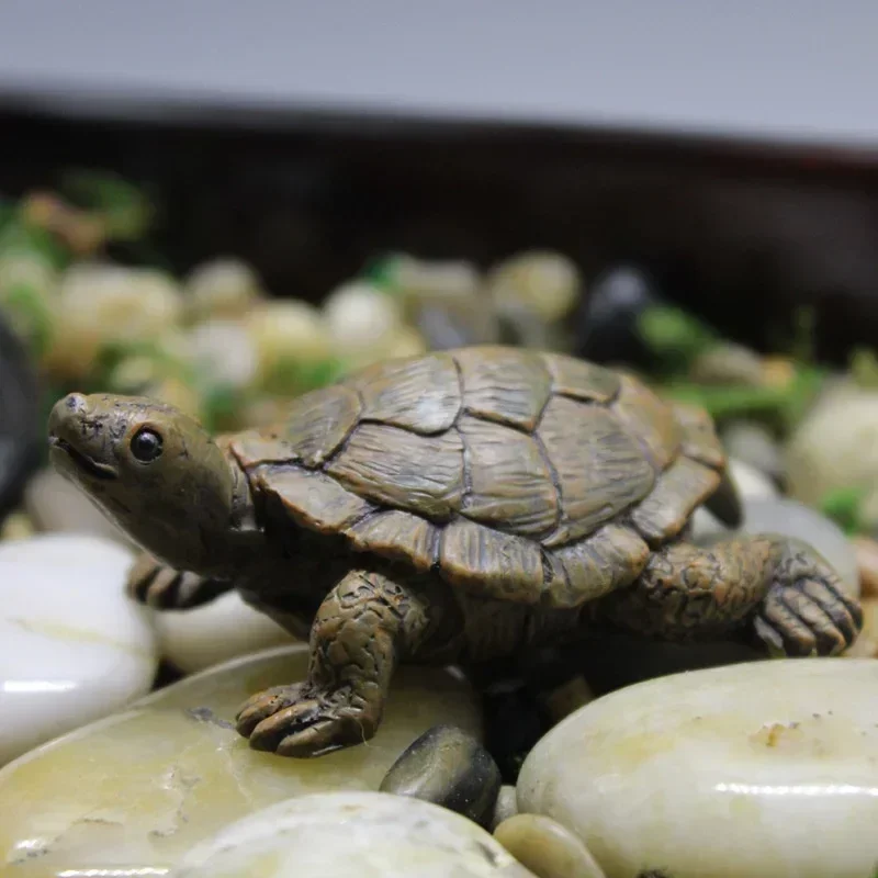 Simulación de resina, tortuga  - Succulent Set reseña y precio