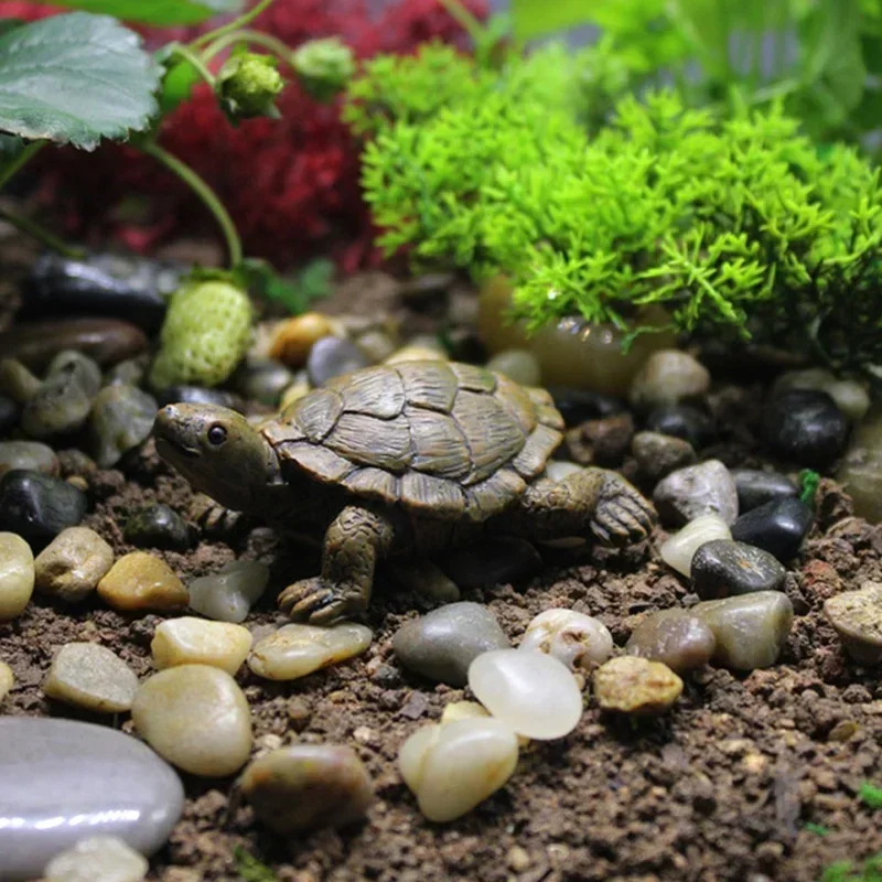 Simulación de resina, tortuga  - Succulent Set reseña y precio