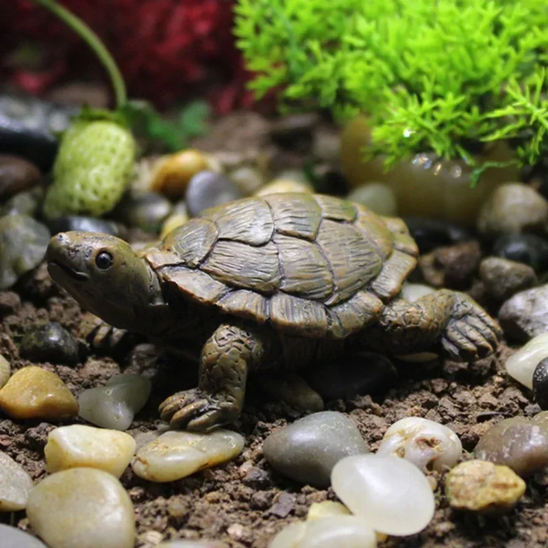 Simulación de resina, tortuga  - Succulent Set reseña y precio