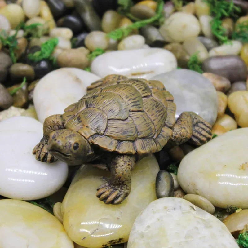 Simulación de resina, tortuga  - Succulent Set reseña y precio