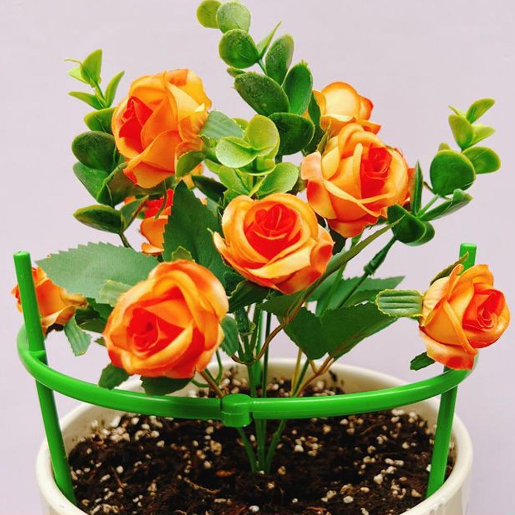 Soportes para Tomates, Columna - Terracotta Pot reseña y precio