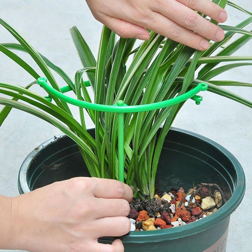 Soportes para Tomates, Columna - Terracotta Pot reseña y precio