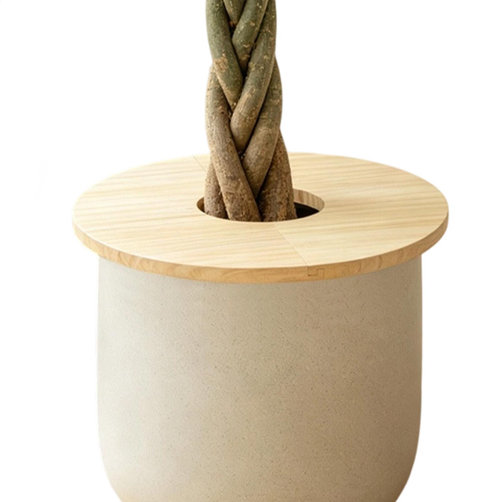 Cubiertas para Macetas, Protec - Terracotta Pot reseña y precio