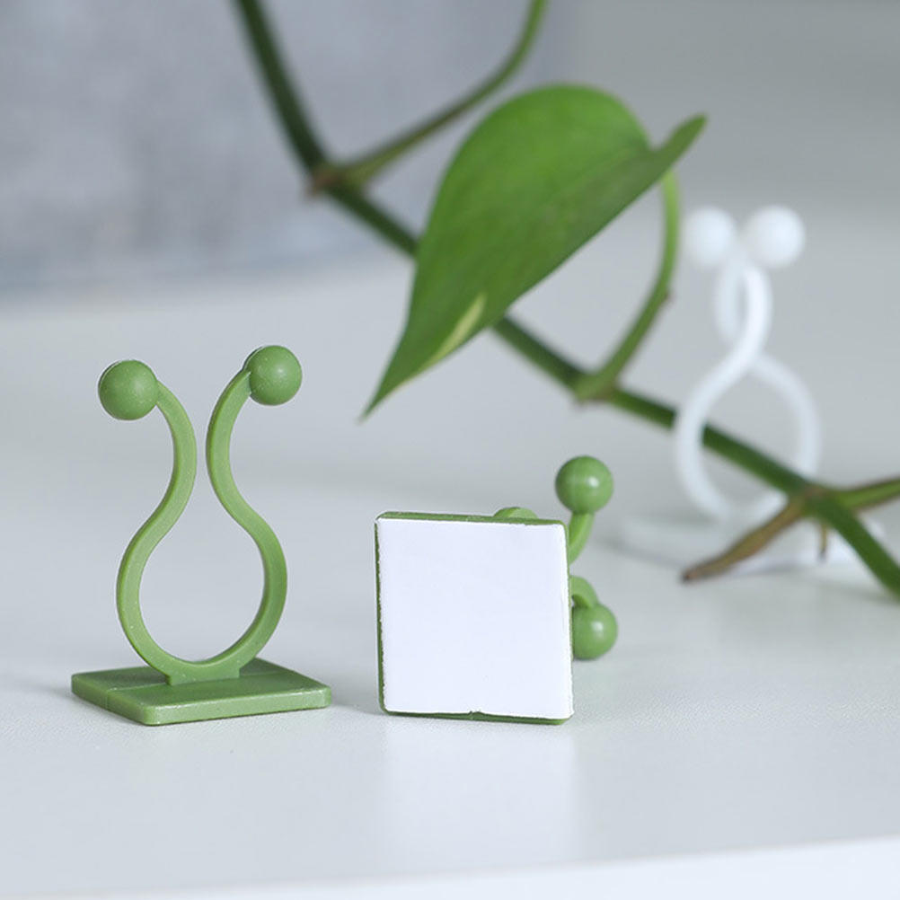 80 ganchos adhesivos para plan - Pothos reseña y precio