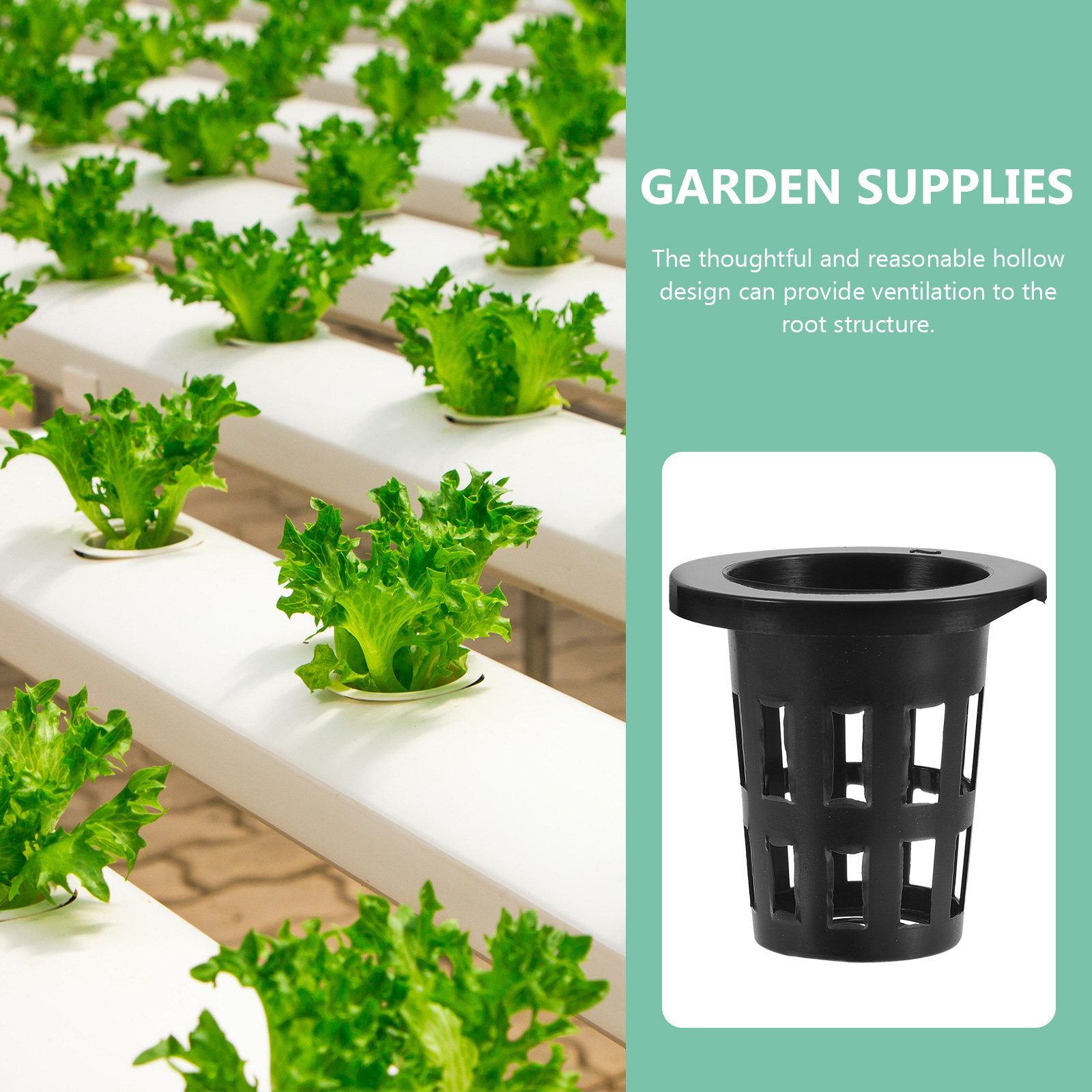 50 unidades de macetas de plás - Plant Pot reseña y precio