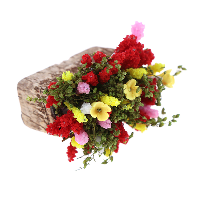 Mini arbusto de flores bonsái  - Terracotta Pot reseña y precio