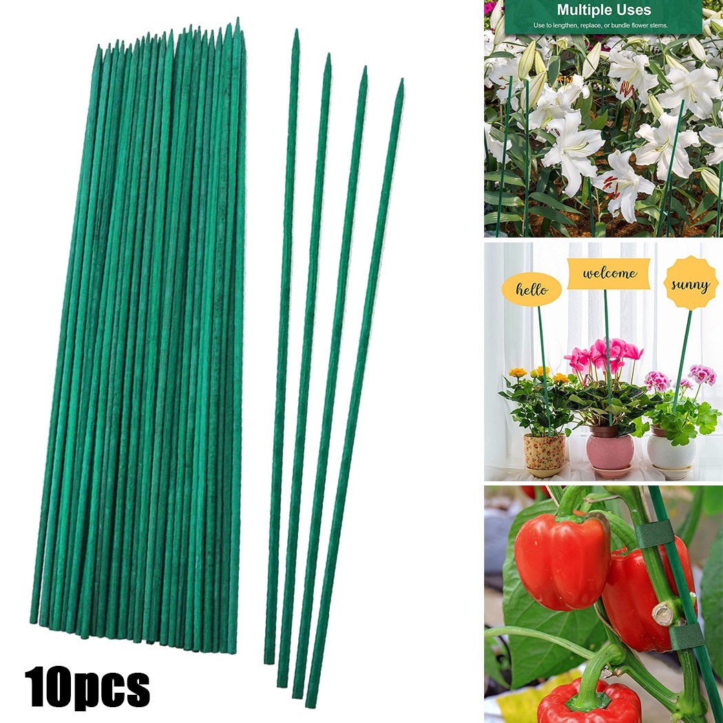 Palos de soporte para plantas  - Plant Support Stake reseña y precio