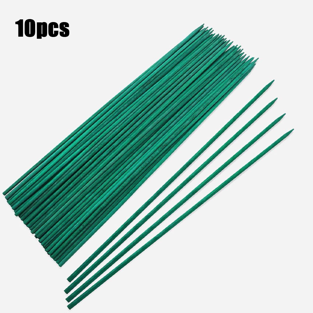Palos de soporte para plantas  - Plant Support Stake reseña y precio