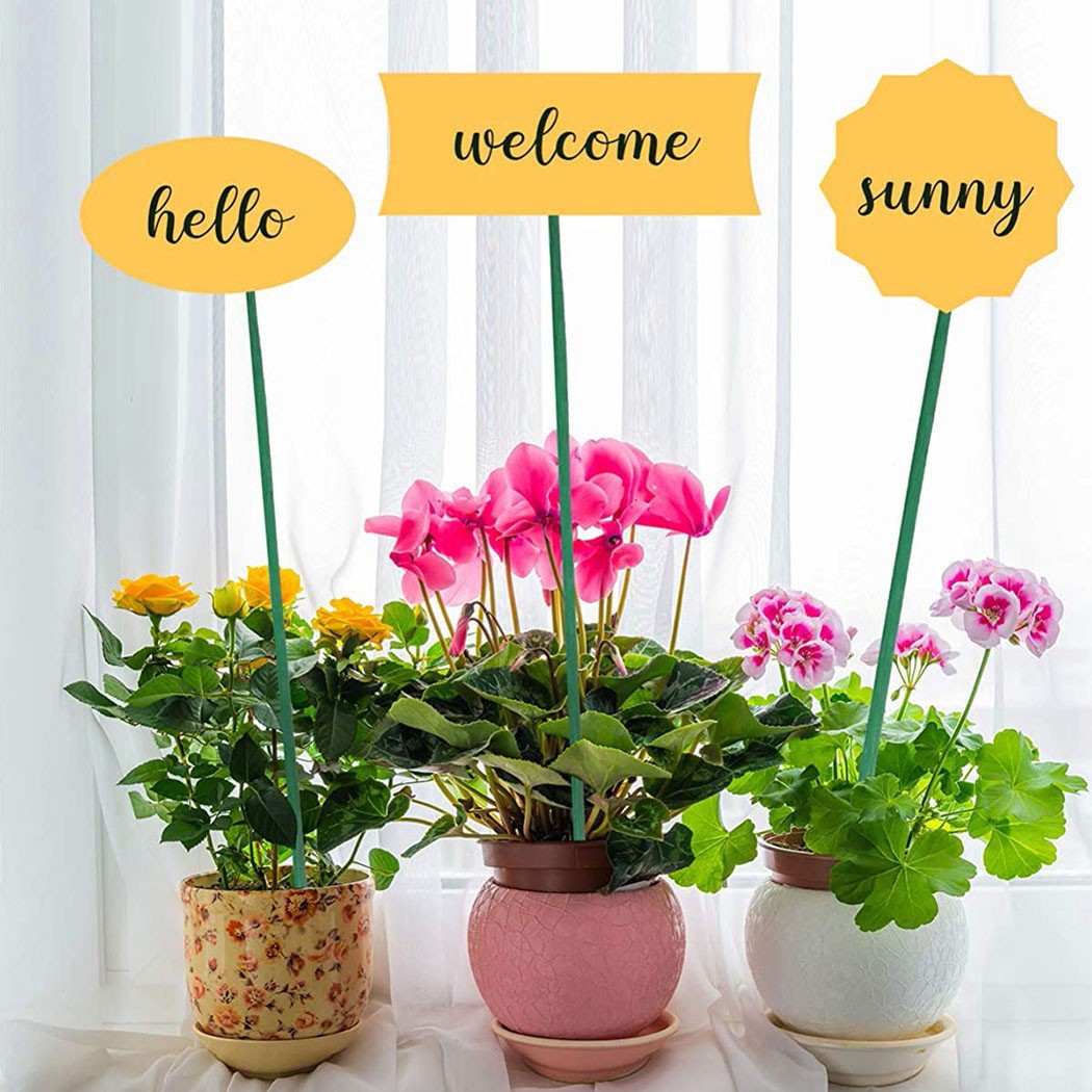 Palos de soporte para plantas  - Plant Support Stake reseña y precio