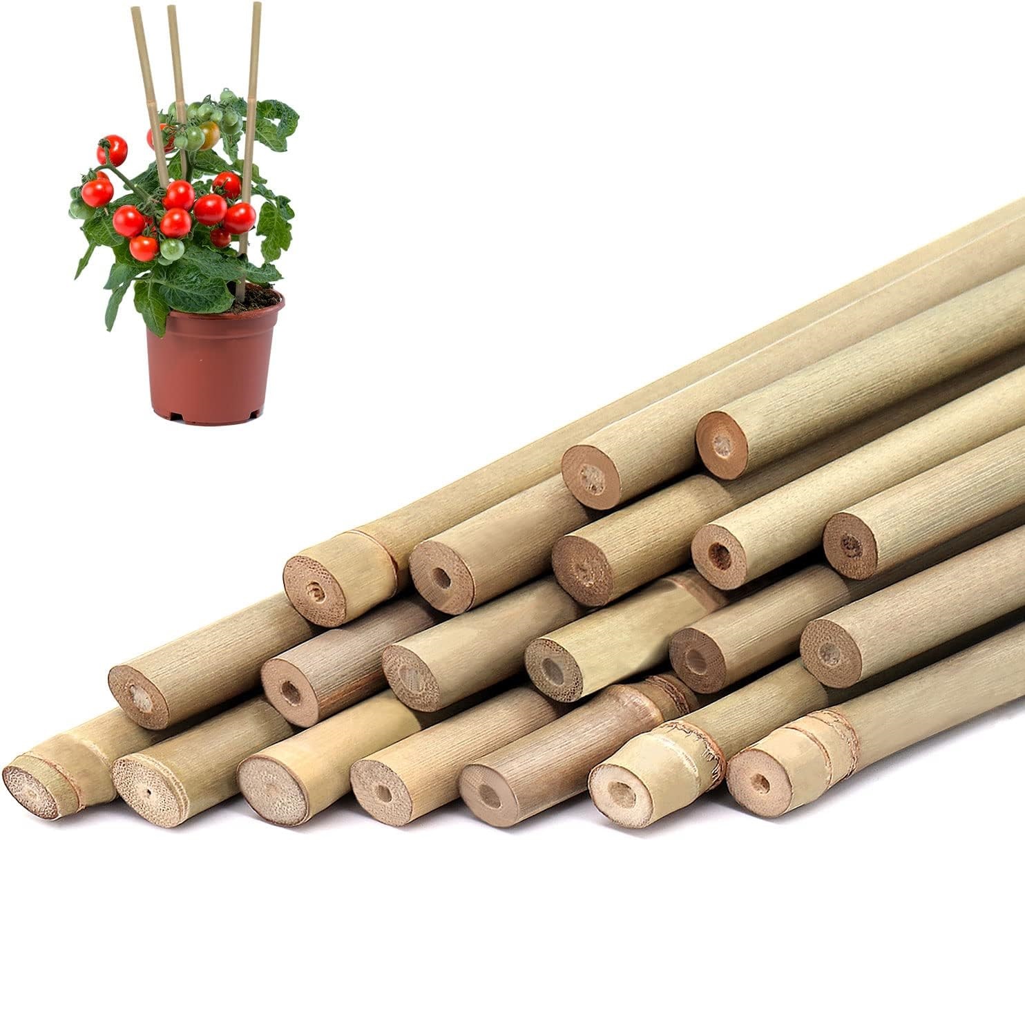 10 Uds., estacas de plantas de - Plant Support Stake reseña y precio