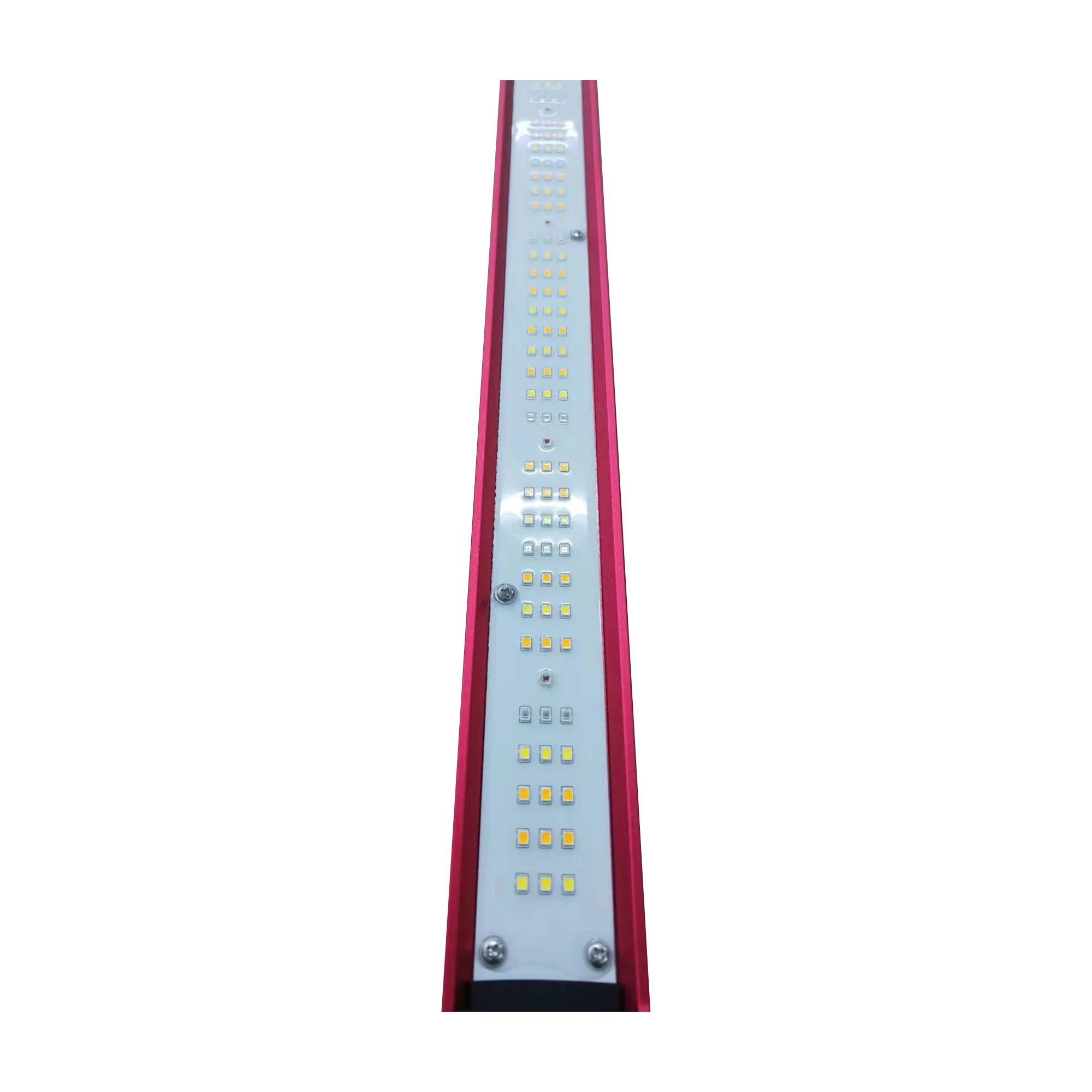 Luz LED de espectro completo p - Indoor Plants reseña y precio