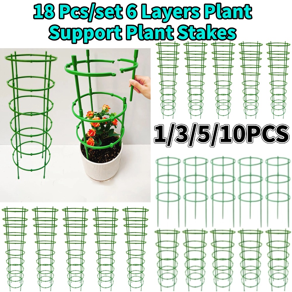 10 piezas de jaulas para tomat - Terracotta Pot reseña y precio