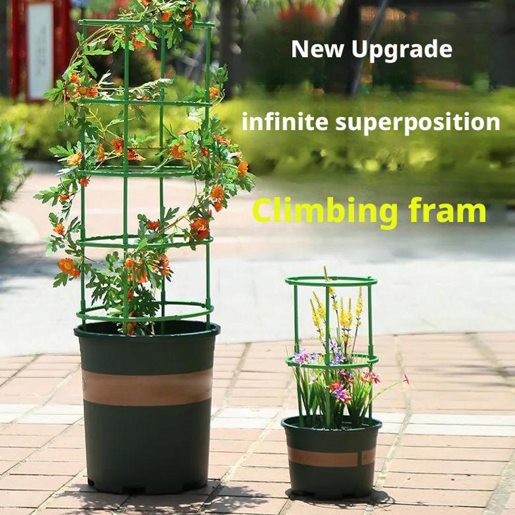 10 piezas de jaulas para tomat - Terracotta Pot reseña y precio