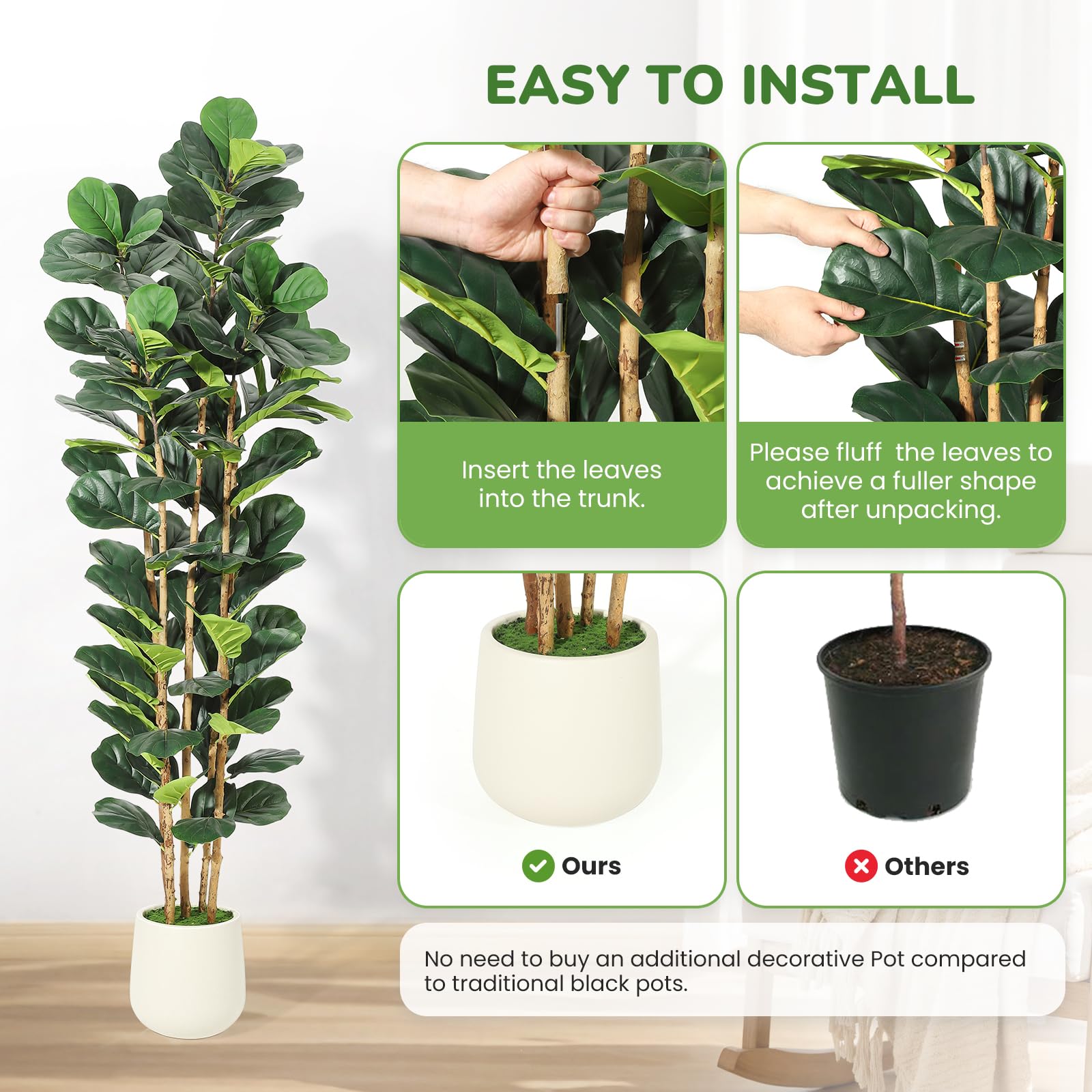 Árbol de higuera de hoja de vi - Fiddle Leaf Fig reseña y precio