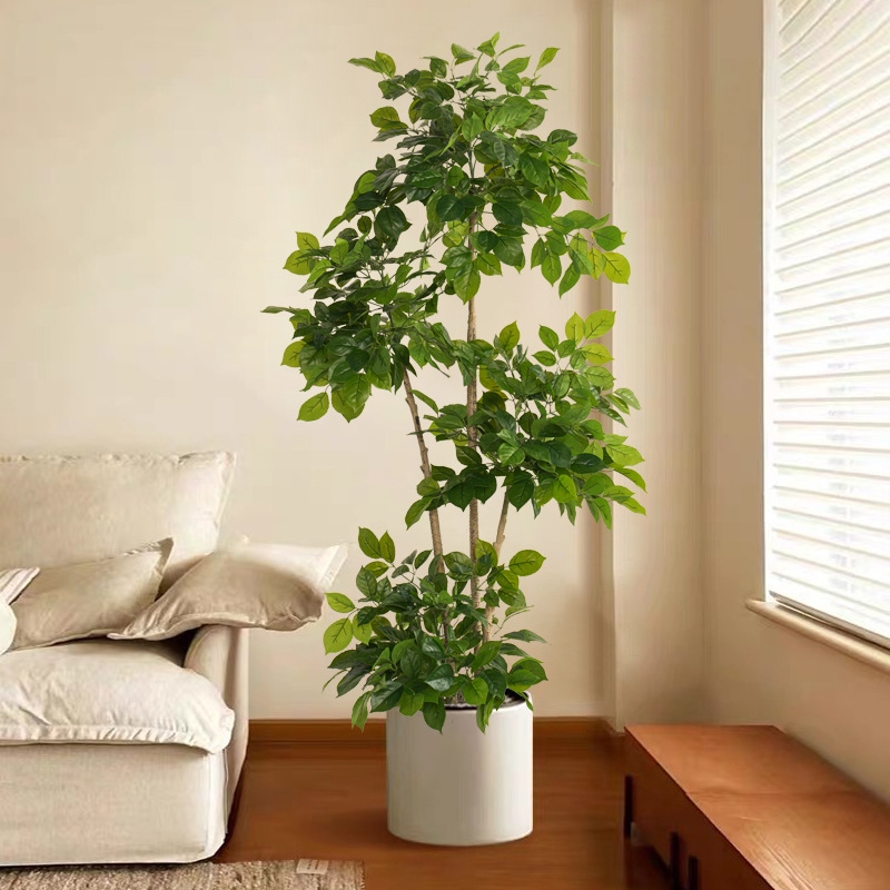 Plantas falsas grandes de 2-78 - Fiddle Leaf Fig reseña y precio