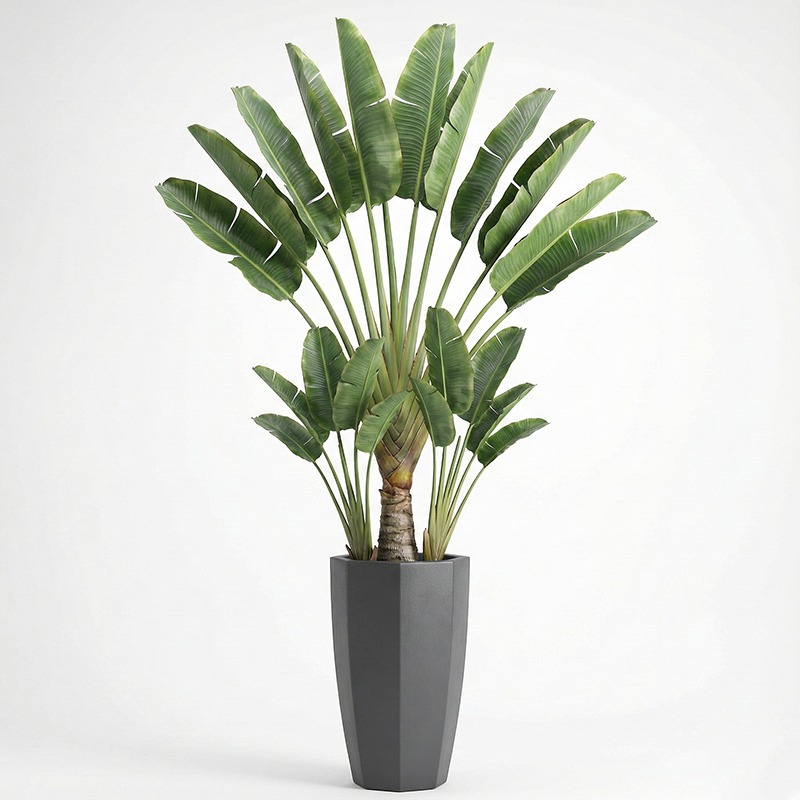 Árbol Artificial de Ficus Lyra - Fiddle Leaf Fig reseña y precio