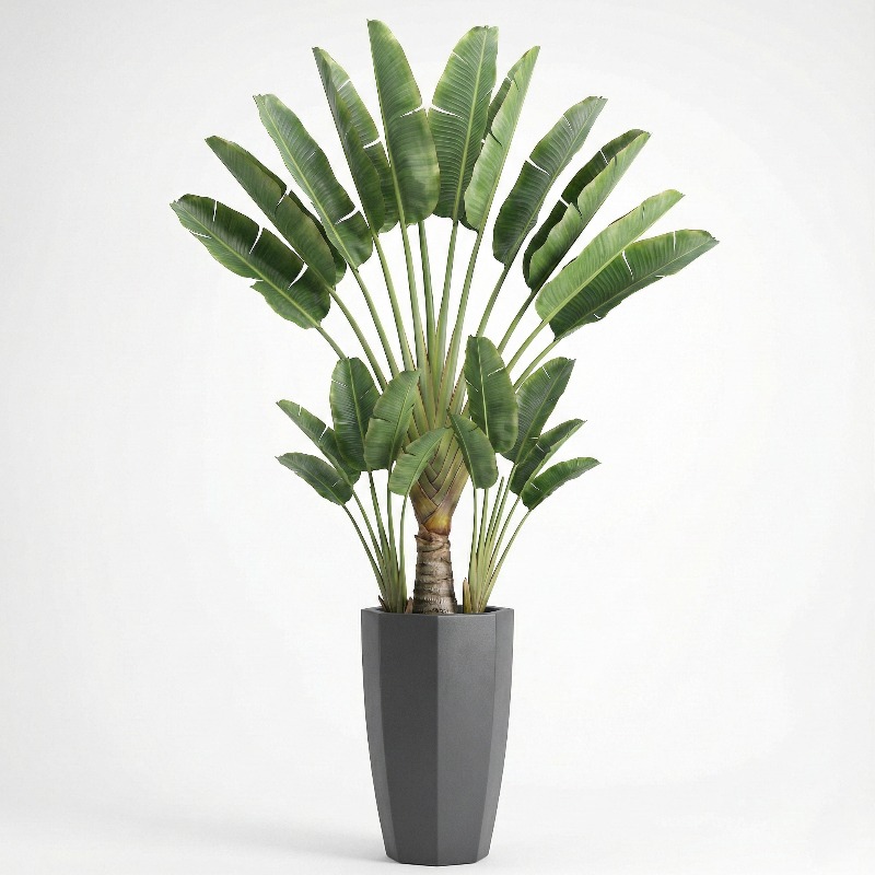 Árbol Artificial de Ficus Lyra - Fiddle Leaf Fig reseña y precio