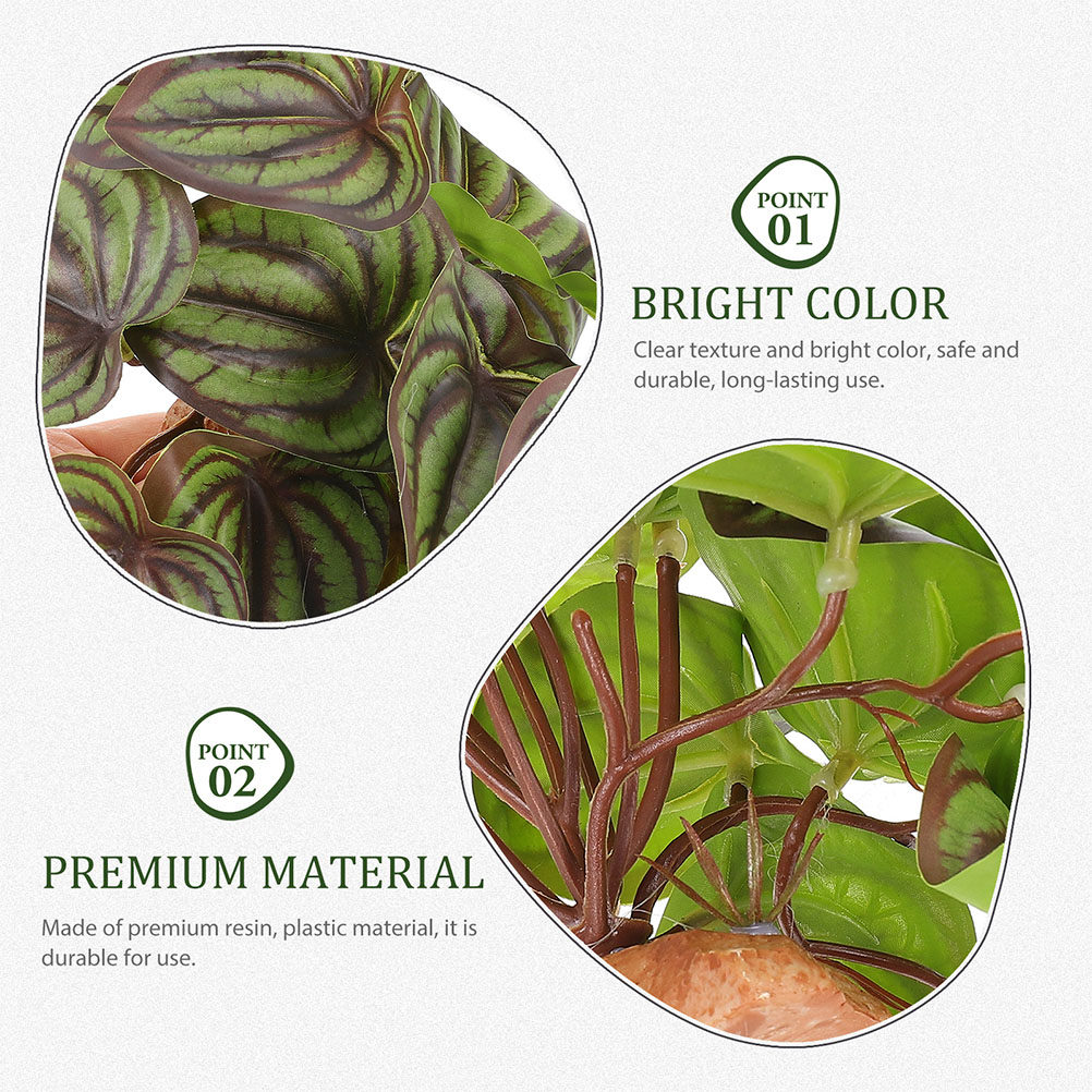 Plantas de Simulación de Alta  - Snake Plant reseña y precio
