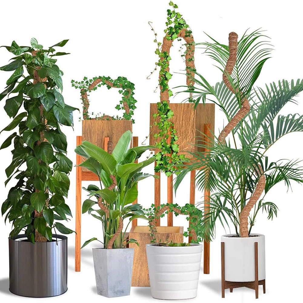 Varilla de Soporte para Planta - Pothos reseña y precio