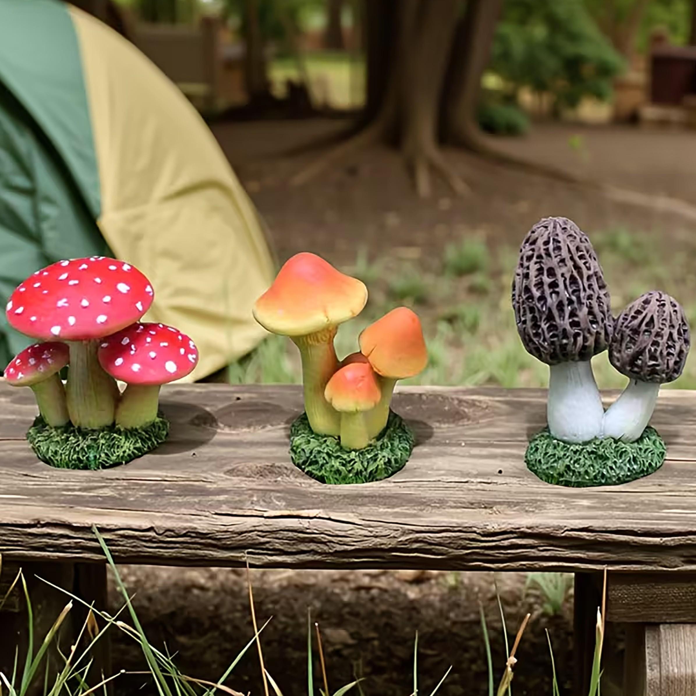 1 Juego de 3 piezas de Adorno  - Succulent Set reseña y precio