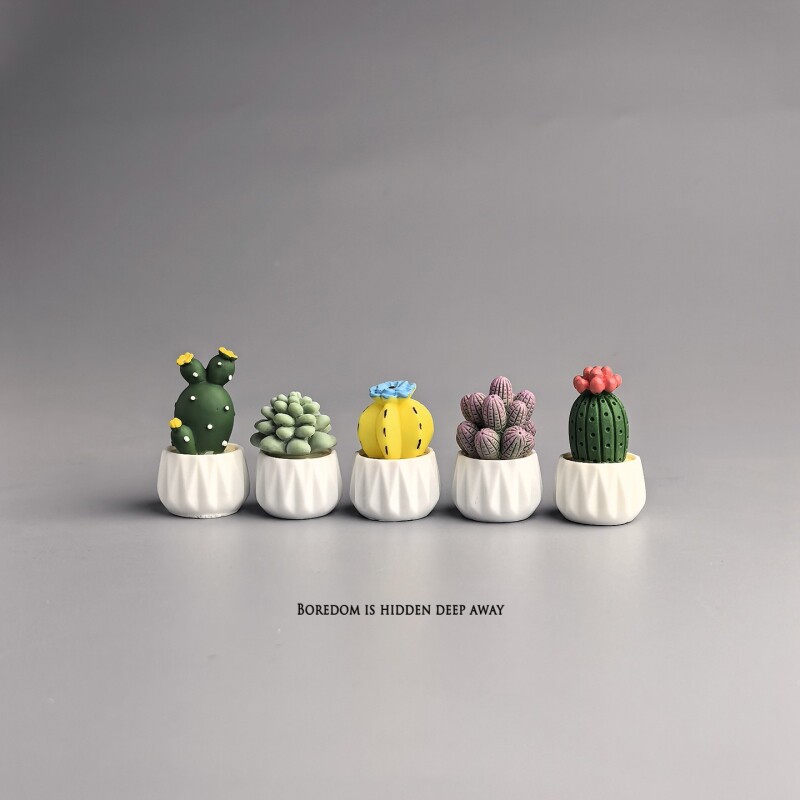 Cactus en Maceta, Suculenta, M - Succulent Set reseña y precio
