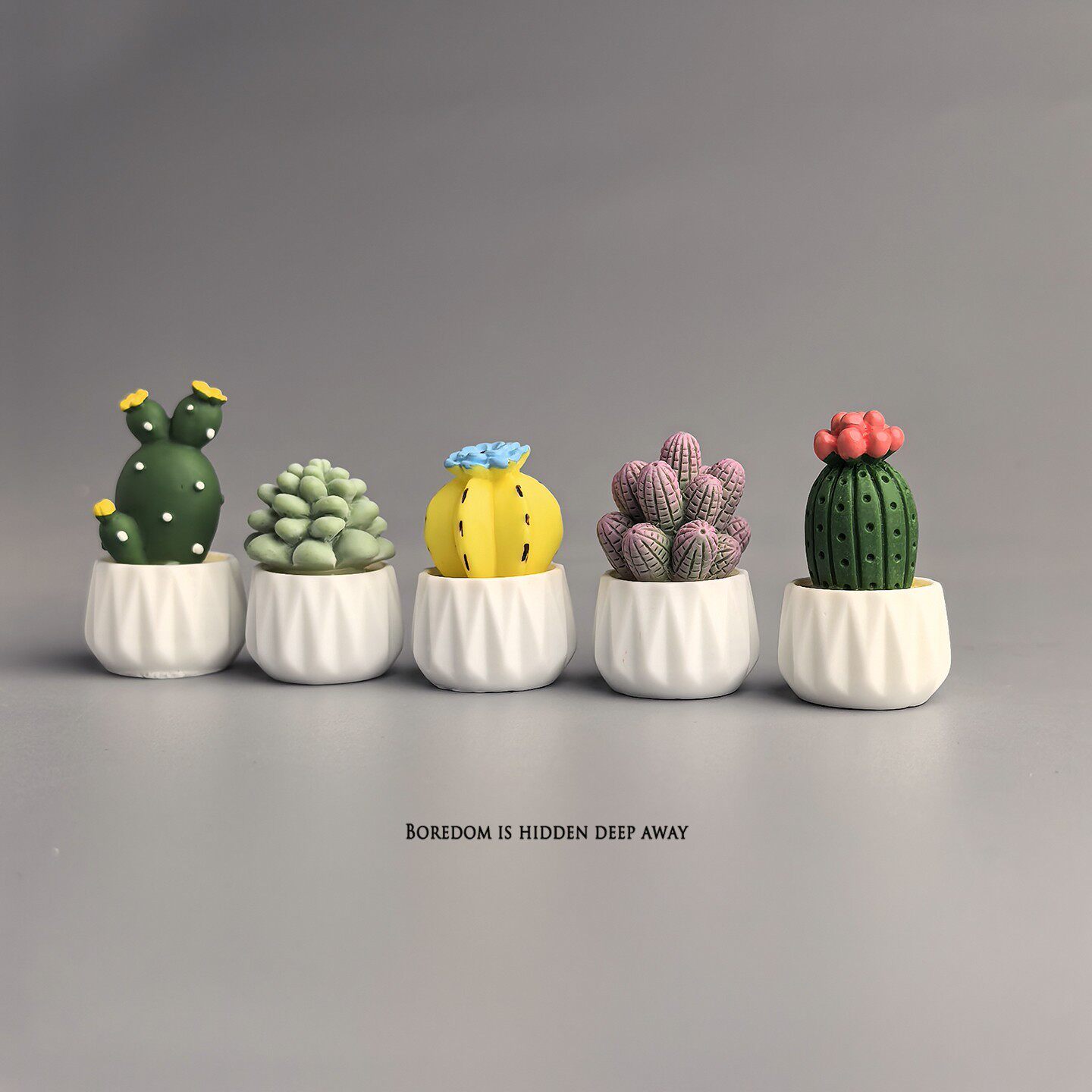 Cactus en Maceta, Suculenta, M - Succulent Set reseña y precio