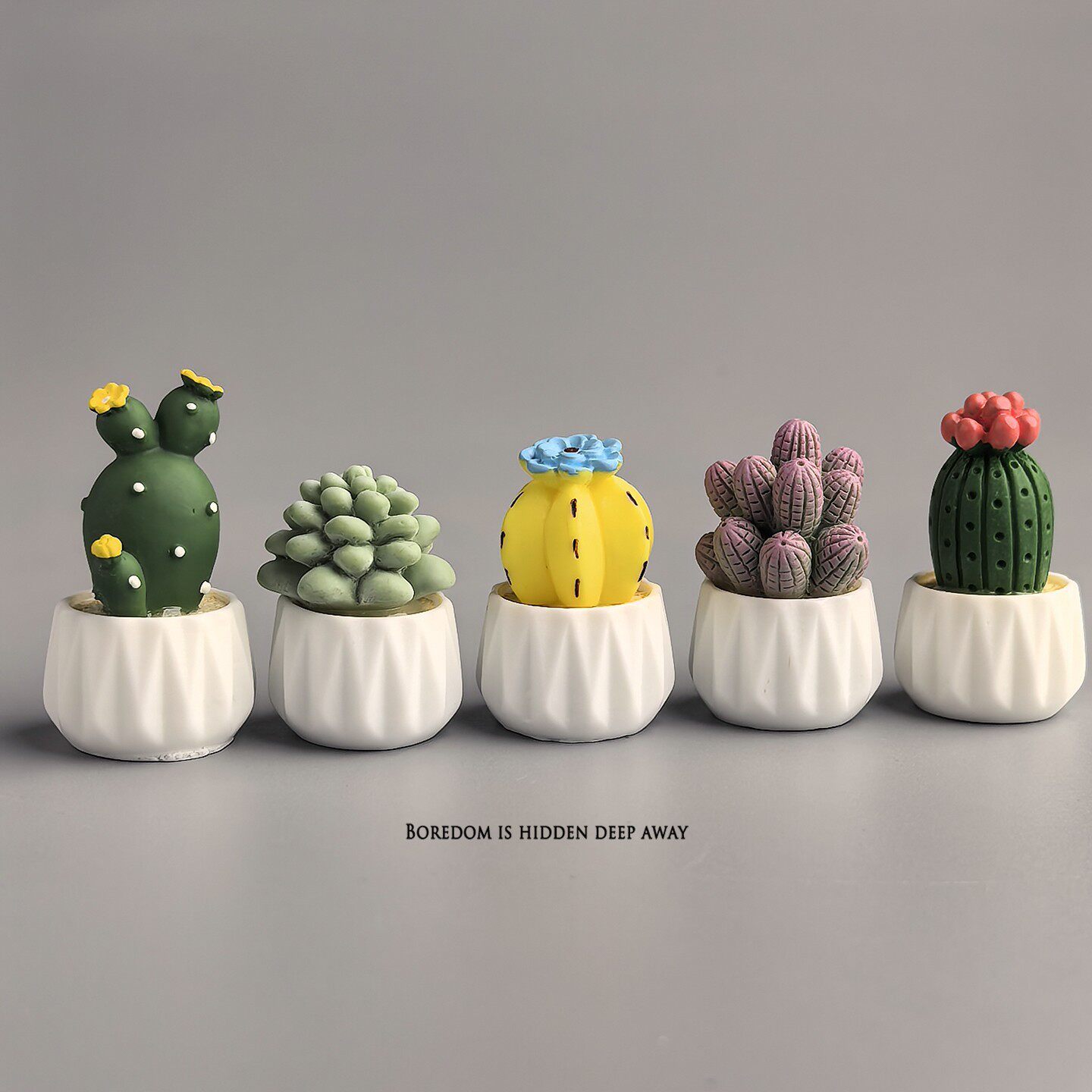 Cactus en Maceta, Suculenta, M - Succulent Set reseña y precio
