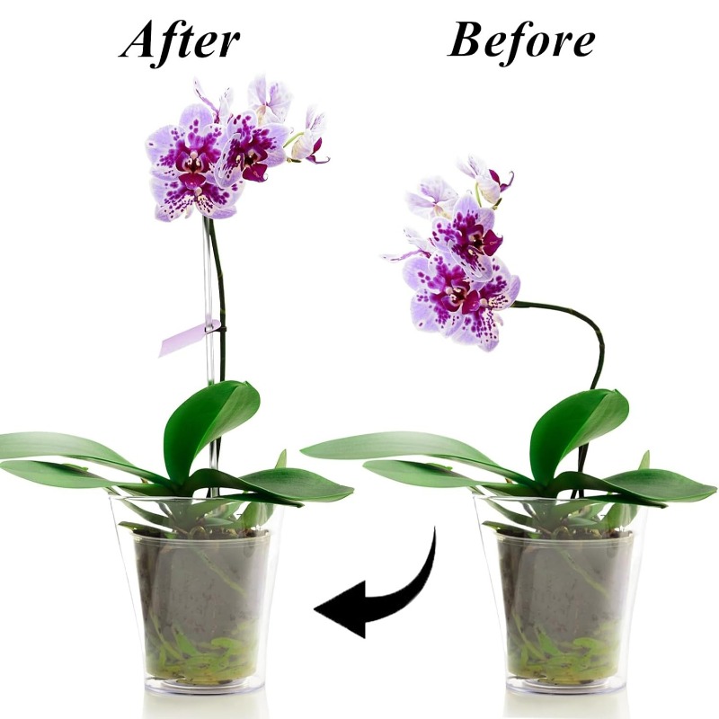 Estaca de Soporte Transparente - Plant Support Stake reseña y precio