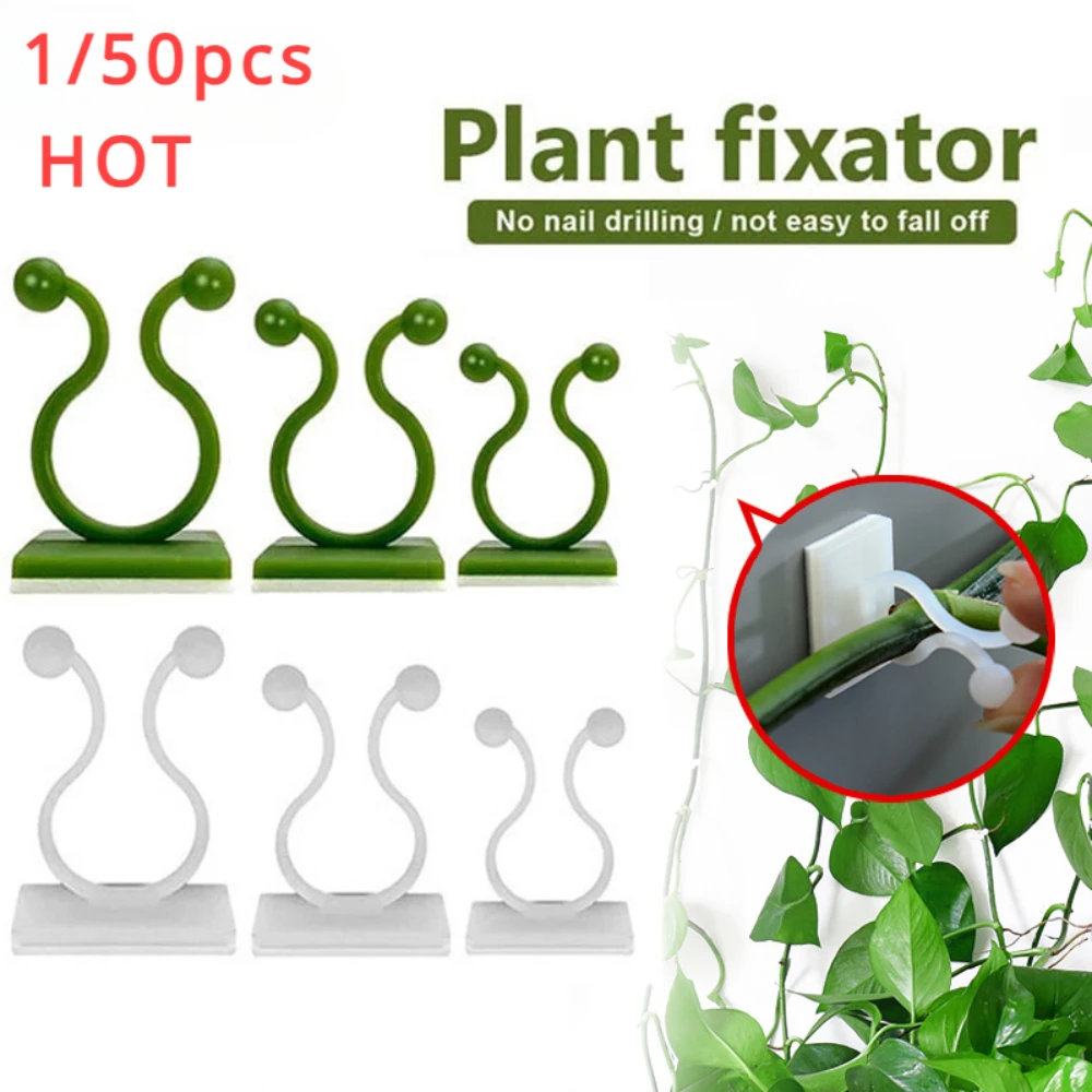 Accesorios para jardín, maceta - Plant Support Stake reseña y precio