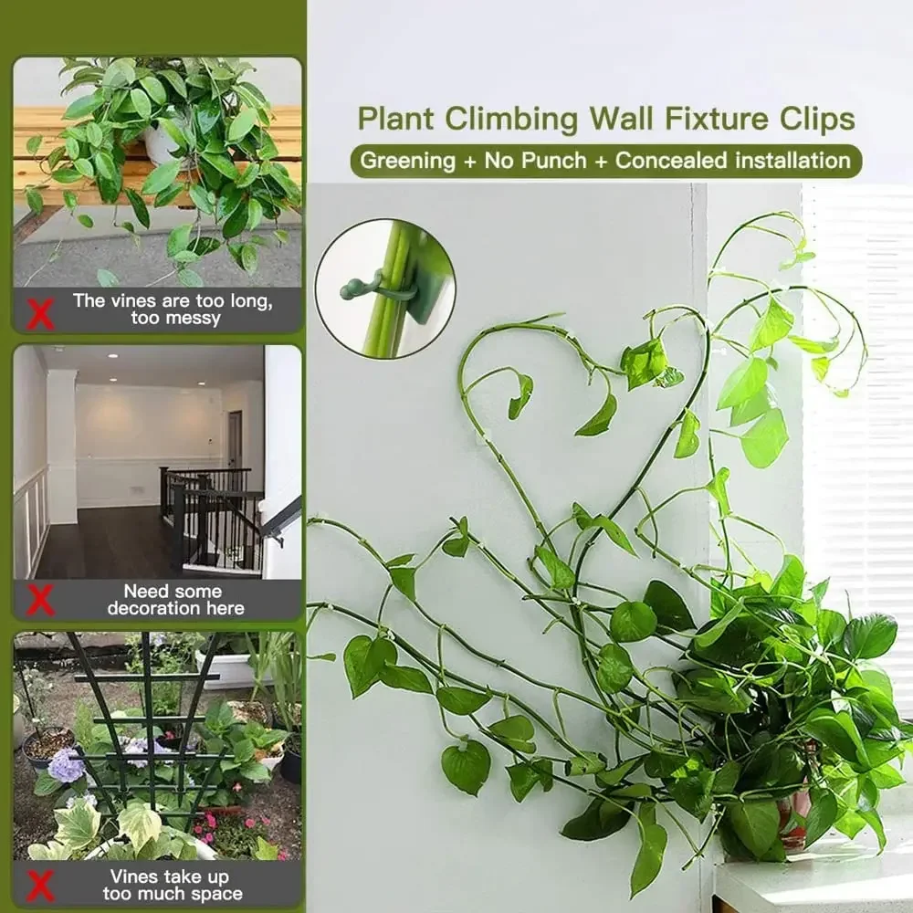 Accesorios para jardín, maceta - Plant Support Stake reseña y precio