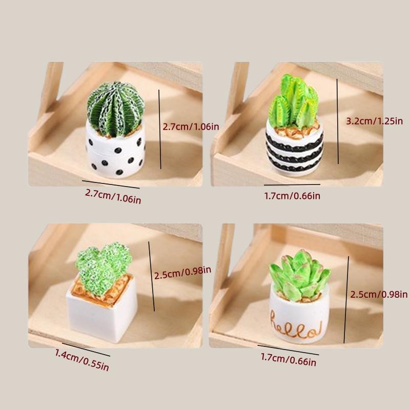 Juego de 4 Macetas con Plantas - Succulent Set reseña y precio