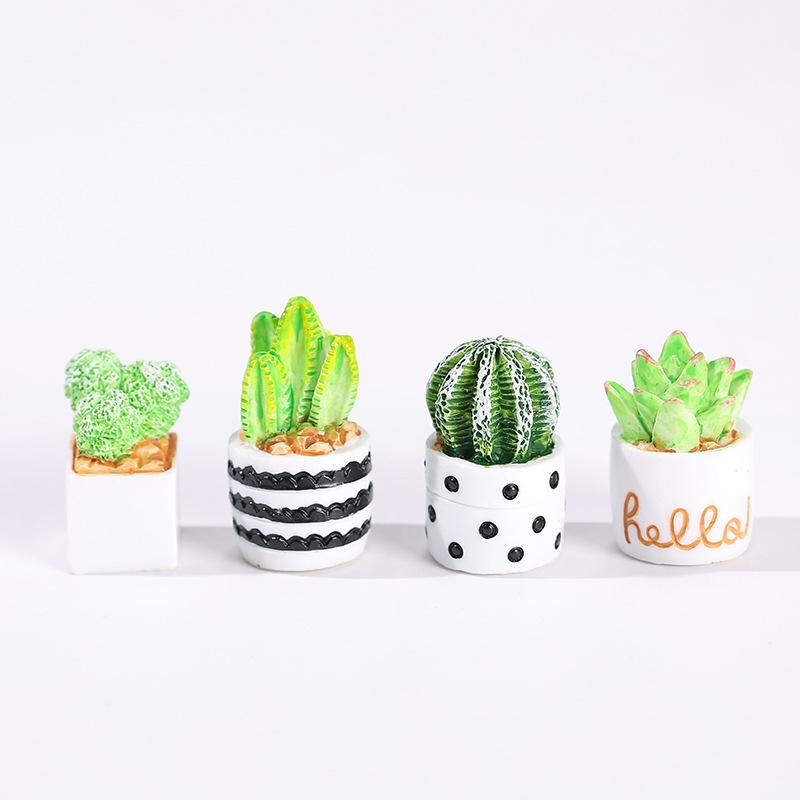 Juego de 4 Macetas con Plantas - Succulent Set reseña y precio