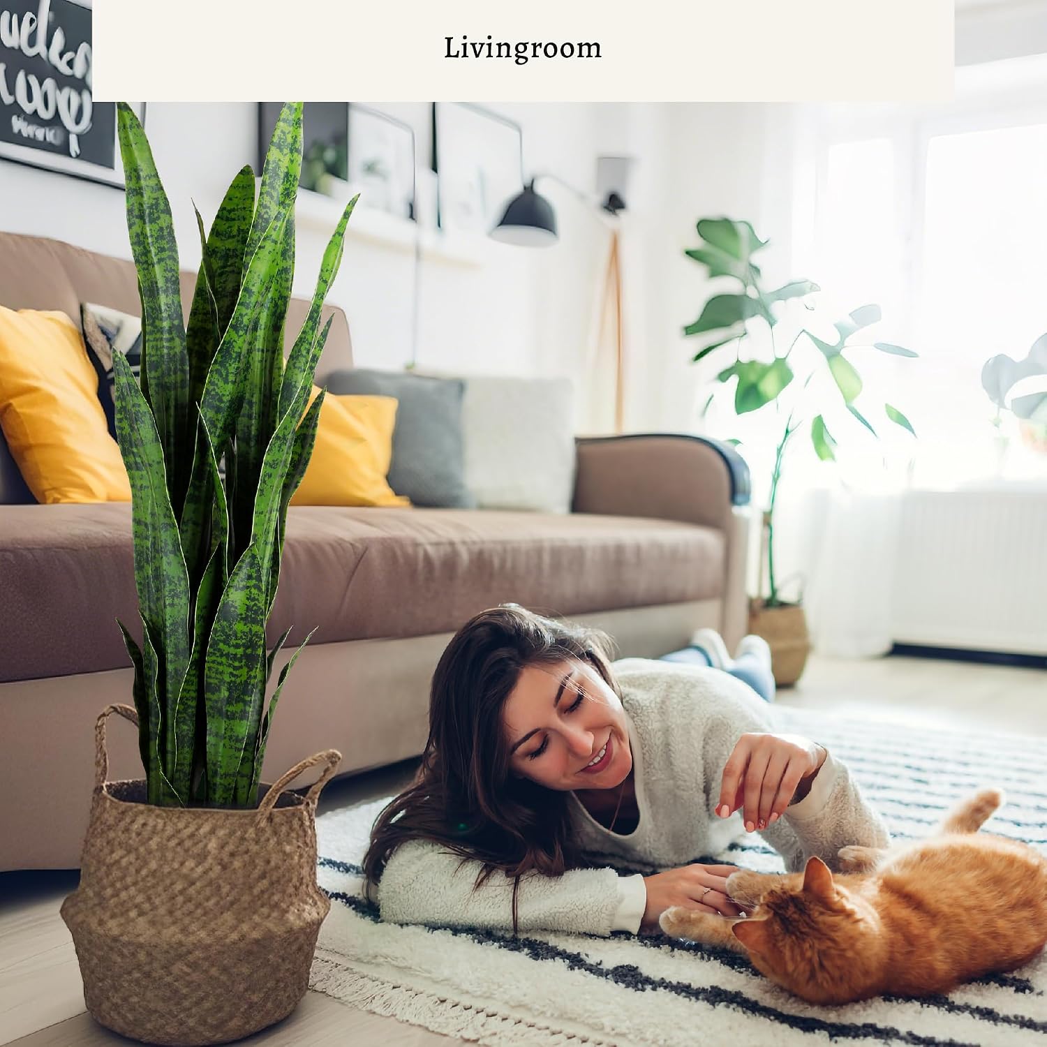 Planta artificial de sansevier - Snake Plant reseña y precio
