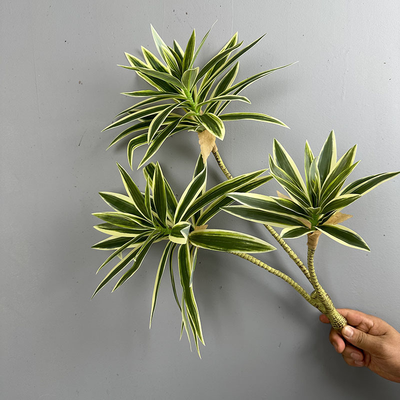 Plantas verdes simuladas, 3 ca - Snake Plant reseña y precio