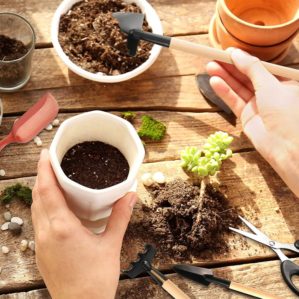 Herramientas de plantas sucule - Succulent Set reseña y precio