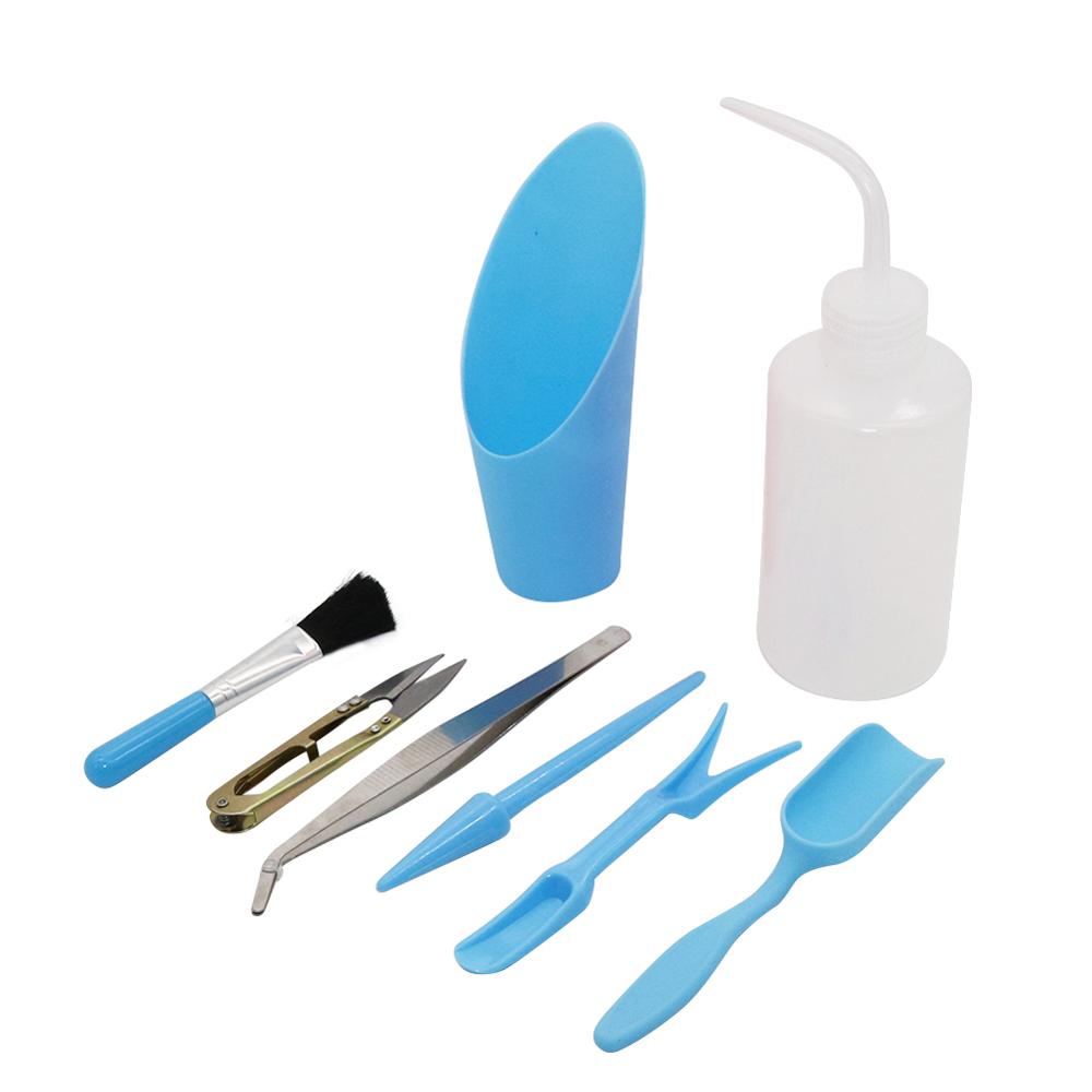 Mini Kit de cultivo para trasp - Succulent Set reseña y precio