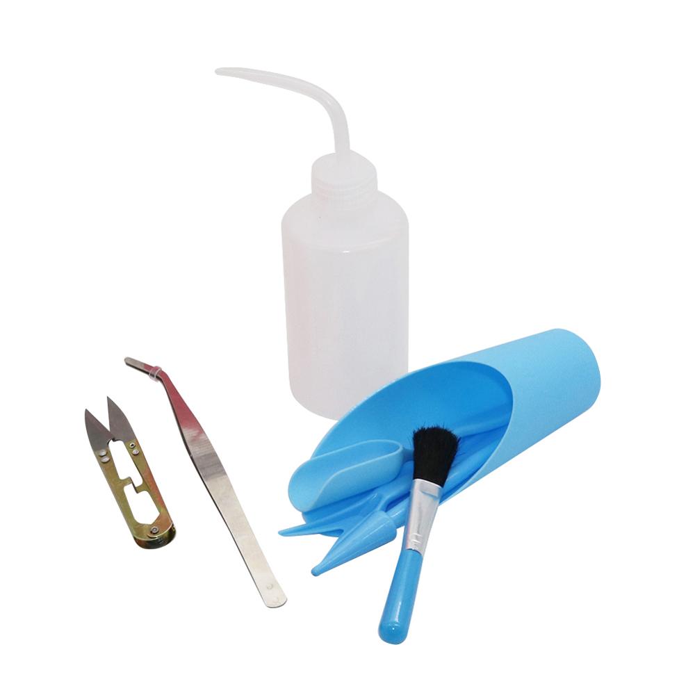 Mini Kit de cultivo para trasp - Succulent Set reseña y precio