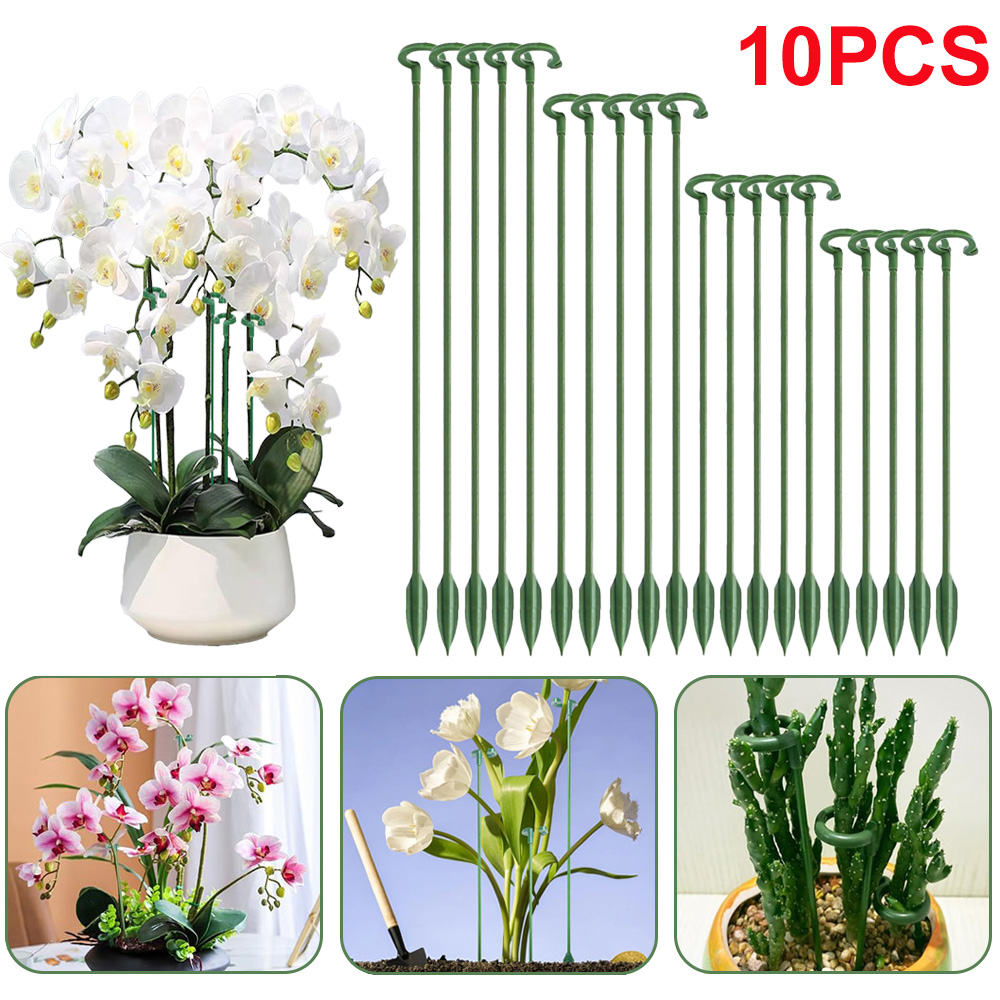 Estacas de Soporte para Planta - Plant Support Stake reseña y precio