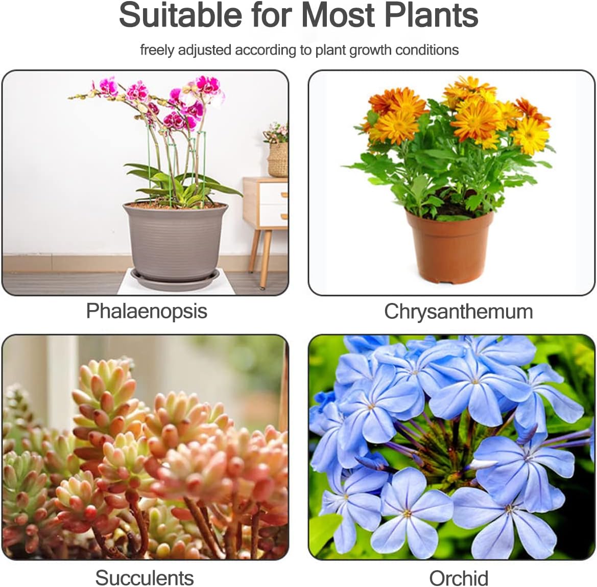 Estacas de Soporte para Planta - Plant Support Stake reseña y precio